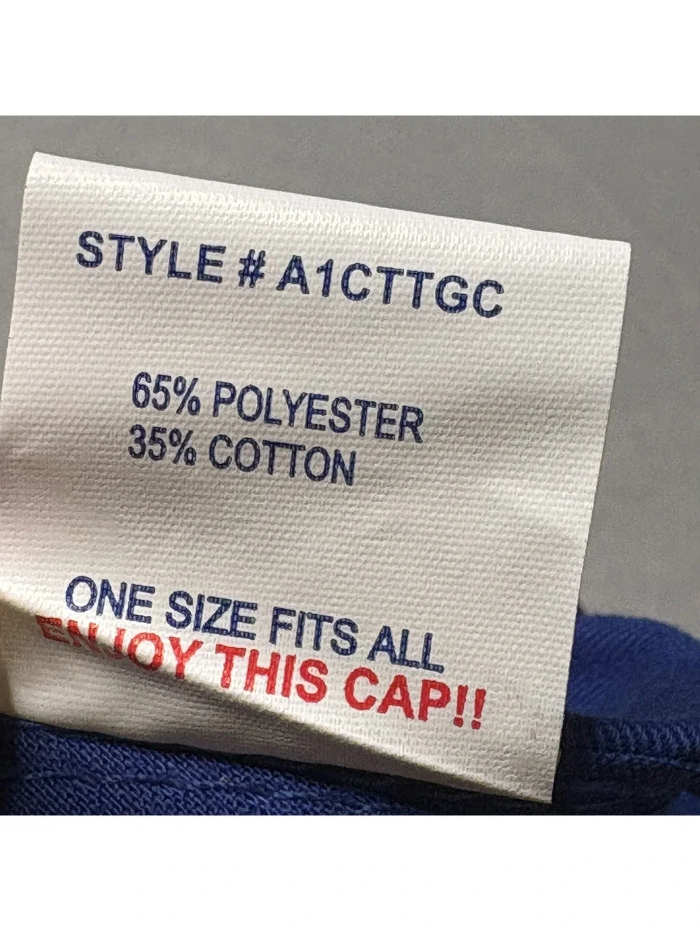 Otto Cap Blue and Red Snapback Hat